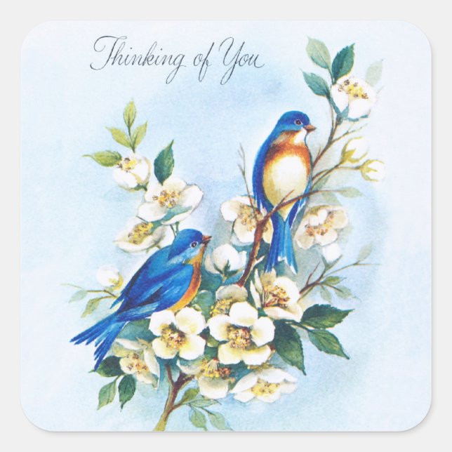 Two Bluebirds Square Sticker (Front)