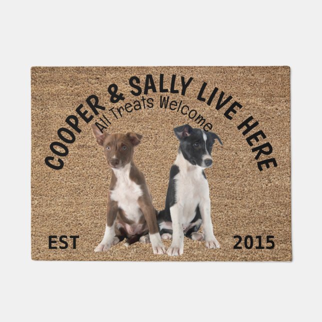 Two Border Collies Personalized Dog Doormat (Front)