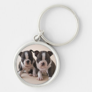 Two Boston Terrier Puppies Keychain