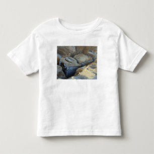 Two box-type devices packed toddler t-shirt