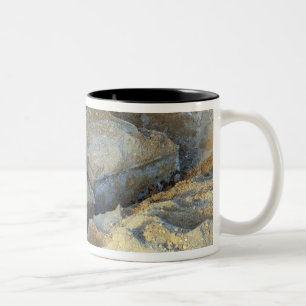 Two box-type devices packed Two-Tone coffee mug