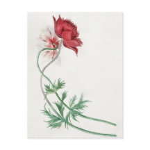 Two branches with a flower - Michiel van Huysum.