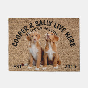 Two Brittanys Personalized Dog Lover Doormat