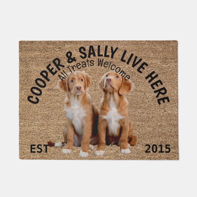Two Brittanys Personalized Dog Lover   Doormat (Front)