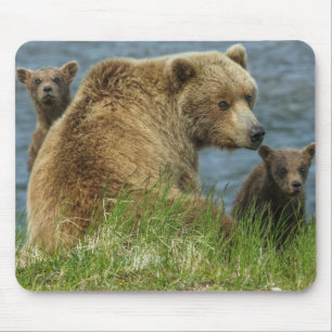 Two Brown Bear Cubs with Mother by the Water Mouse Pad