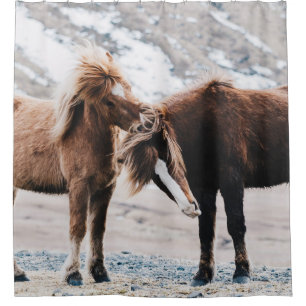 TWO BROWN HORSES ON FIELD