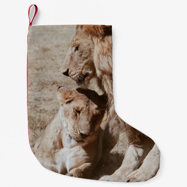 TWO BROWN LION ON GREEN FIELD SMALL CHRISTMAS STOCKING (Front)