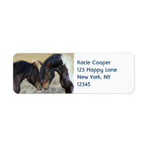 Two Brown Wild Horses Nuzzling