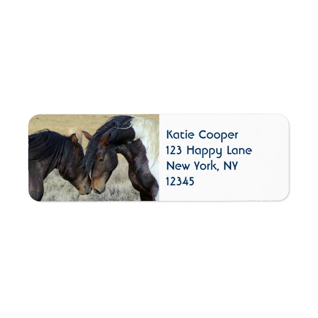 Two Brown Wild Horses Nuzzling (Front)