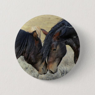 Two Brown Wild Horses Nuzzling 2 Inch Round Button