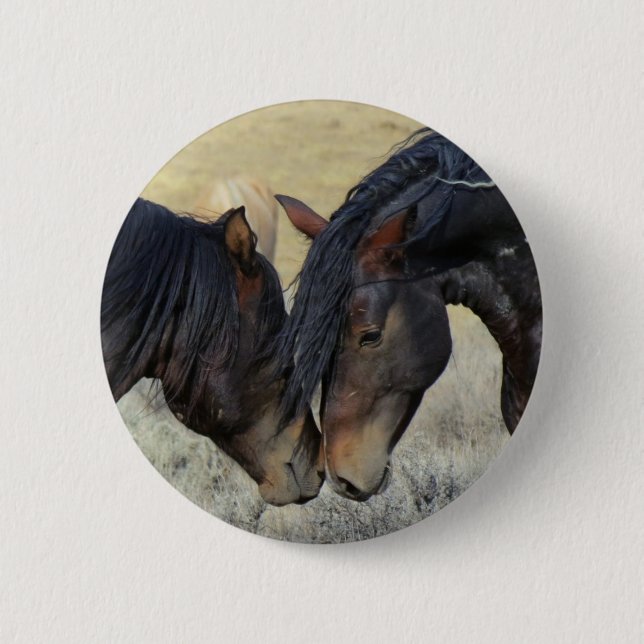 Two Brown Wild Horses Nuzzling 2 Inch Round Button (Front)