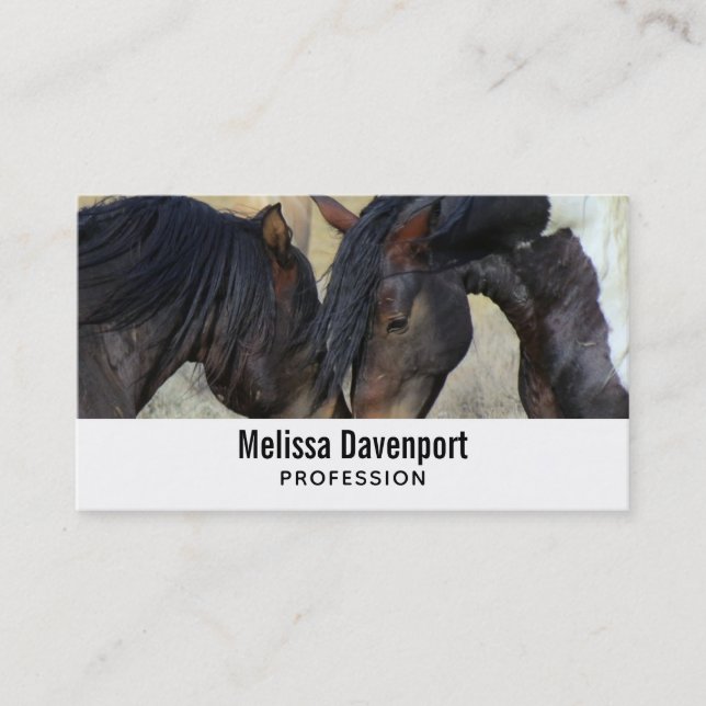 Two Brown Wild Horses Nuzzling Business Card (Front)