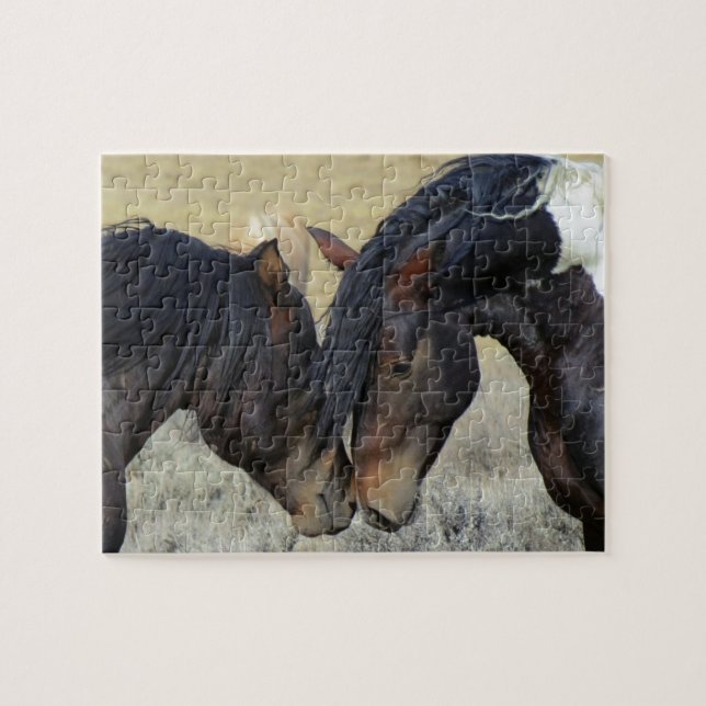 Two Brown Wild Horses Nuzzling Jigsaw Puzzle (Horizontal)
