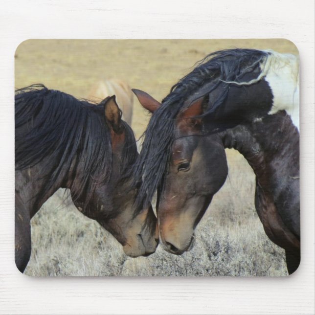 Two Brown Wild Horses Nuzzling Mouse Pad (Front)