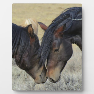 Two Brown Wild Horses Nuzzling Plaque