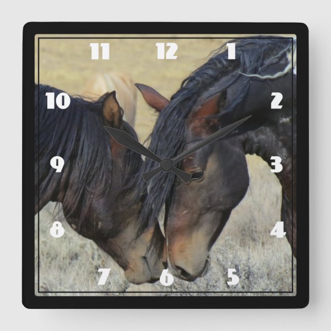 Two Brown Wild Horses Nuzzling Square Wall Clock (Front)