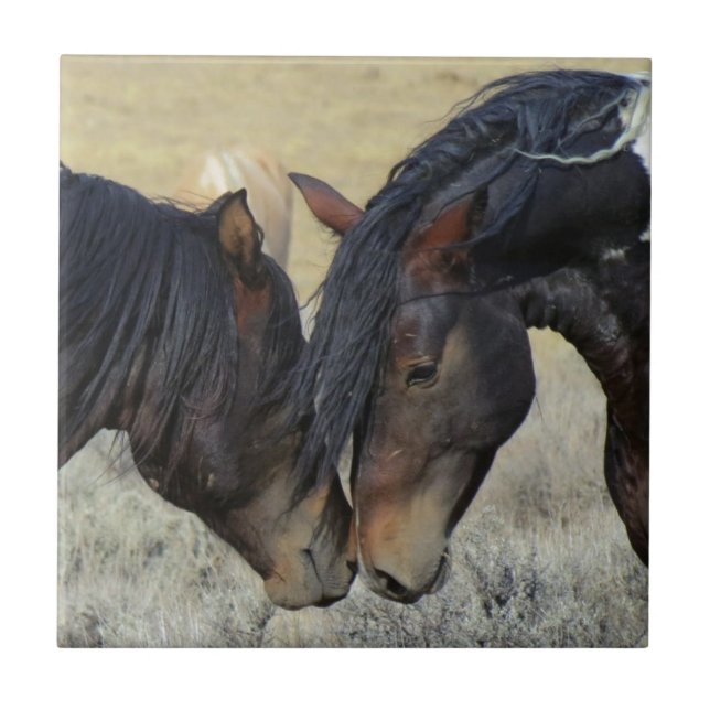 Two Brown Wild Horses Nuzzling Tile (Front)