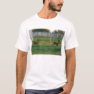 Two Bucks T-Shirt