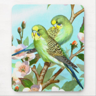 Two budgerigars mouse pad