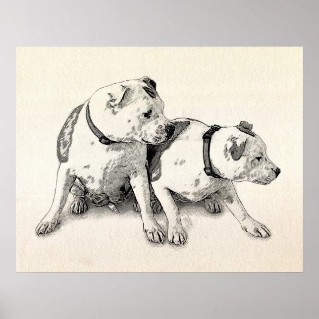 Two Bull Terriers Poster (Front)