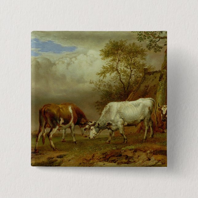 Two Bulls with Locked Horns, 1653 2 Inch Square Button (Front)
