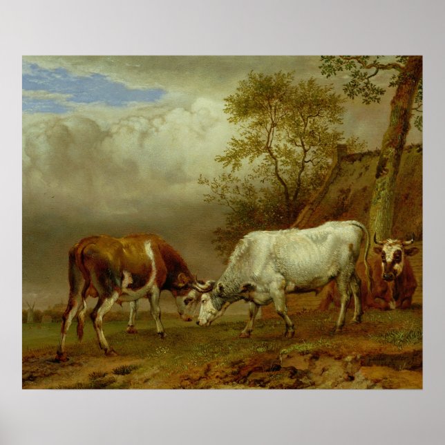 Two Bulls with Locked Horns, 1653 Poster (Front)