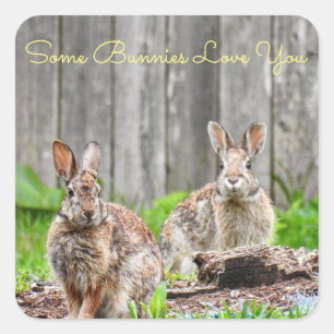 Two Bunnies, Some Bunnies Love You *personalize* Square Sticker