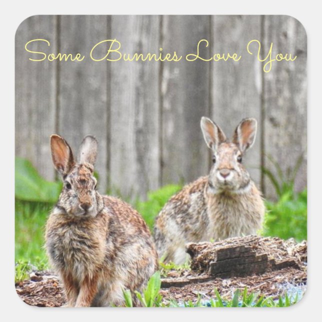 Two Bunnies, Some Bunnies Love You *personalize* Square Sticker (Front)