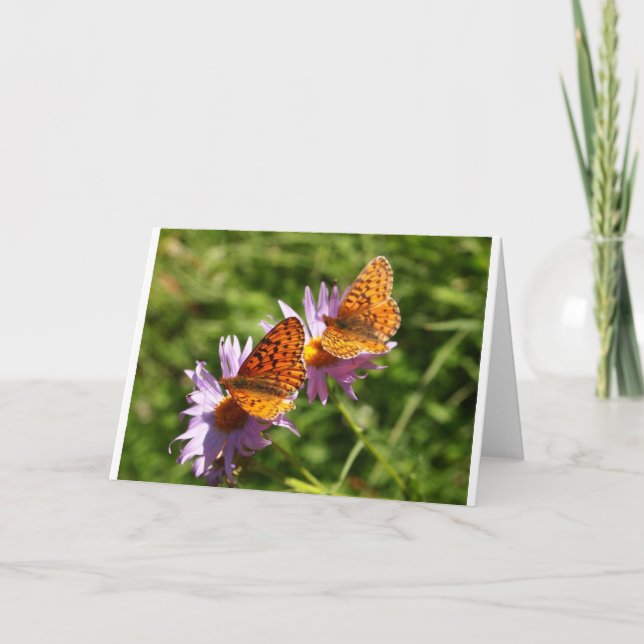 Two Butterflies Greeting Card (Front)