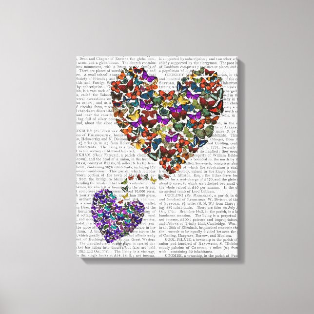 Two Butterfly Hearts Canvas Print (Front)