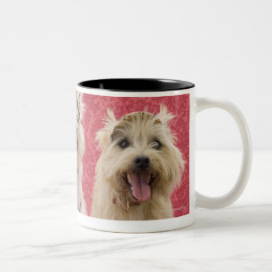 Two cairin terriers and one westie Two-Tone coffee mug