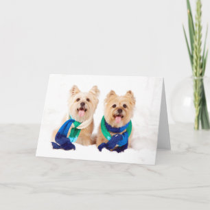 Two Cairn Terriers Christmas Card