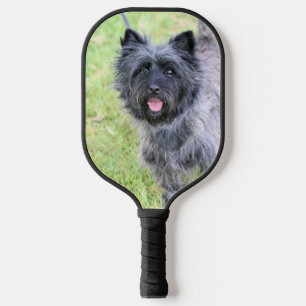 Two Cairns Pickleball Paddle