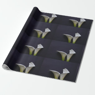 Two calla lilies on black wrapping paper