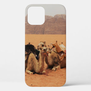 TWO CAMEL SITTING ON BROWN SAND NEAR MOUTAINS iPhone 12 CASE