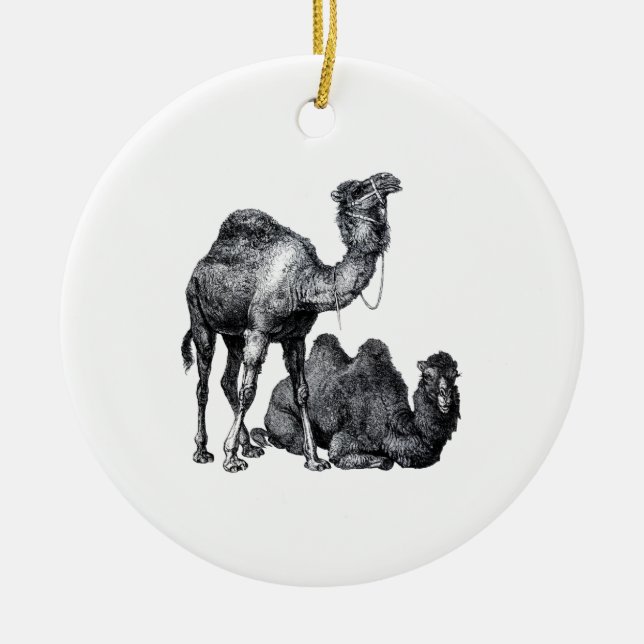 Two camels One standing One lying down drawing Ceramic Ornament (Front)