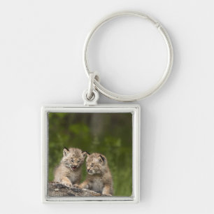 Two Canada Lynx (Lynx Canadensis) Kittens Keychain