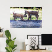 Two Canadian Lynx Kittens playing on a Log Poster (Home Office)