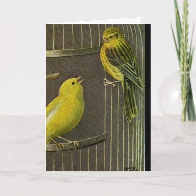 Two Canaries Painting  Art   Greeting Card (Front)