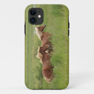 Two Cantering Palomino Horses in a Field Photo iPhone 11 Case