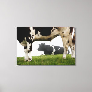 two canvas print
