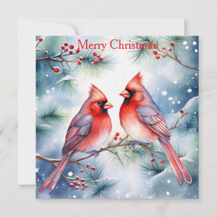 Two Cardinals Holiday Card