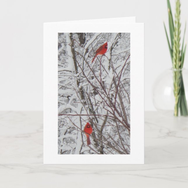 Two Cardinals White Border 5x7 Christmas Card (Front)