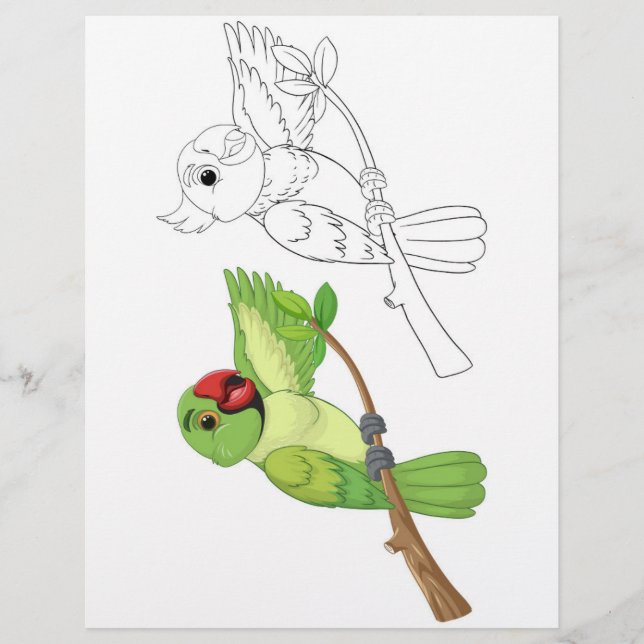 Two cartoon parrots on a branch, one coloured, one flyer (Front)