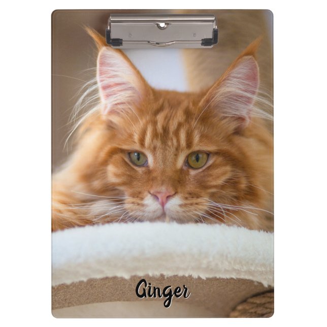 Two Cat Photo Clipboard (Front)