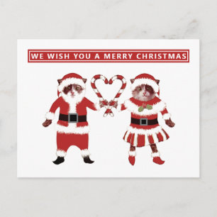 Two Cats Christmas Postcards