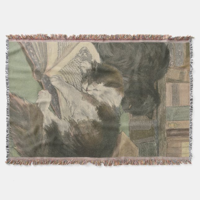 Two Cats In The Library throw blanket (Front)
