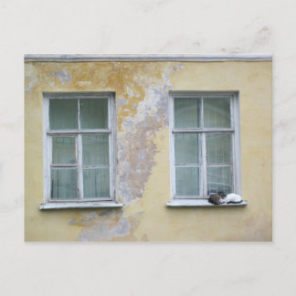 Two cats on a ledge in St. Petersburg, Russia Postcard