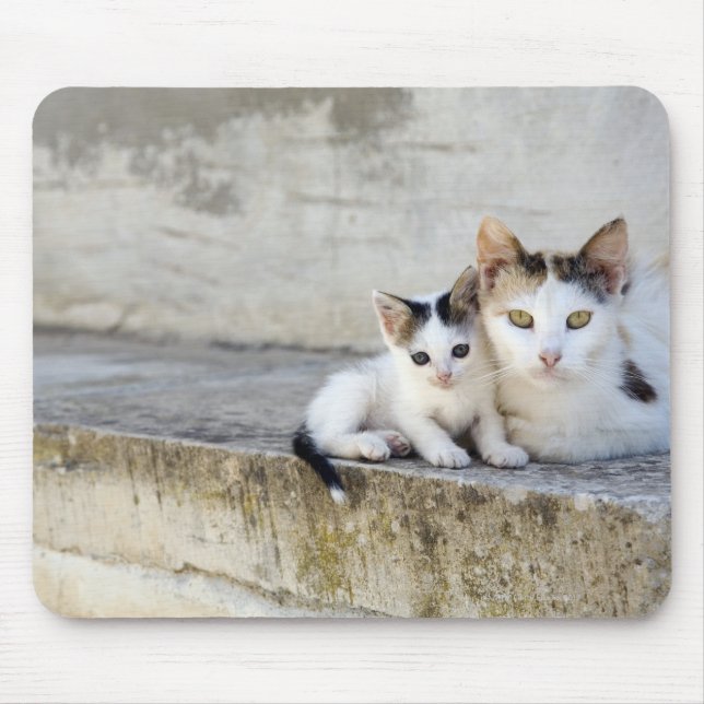 Two cats on stone steps mouse pad (Front)