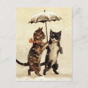Two Cats One Umbrella Postcard